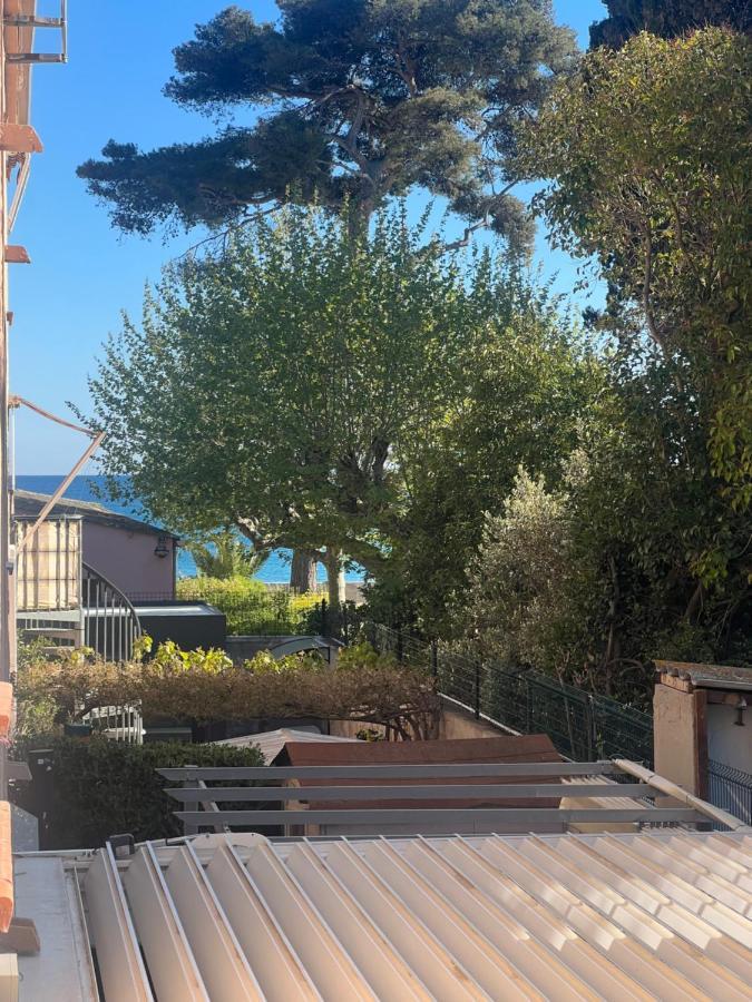 Appartement Pied Dans L'Eau La Seyne-sur-Mer Eksteriør billede