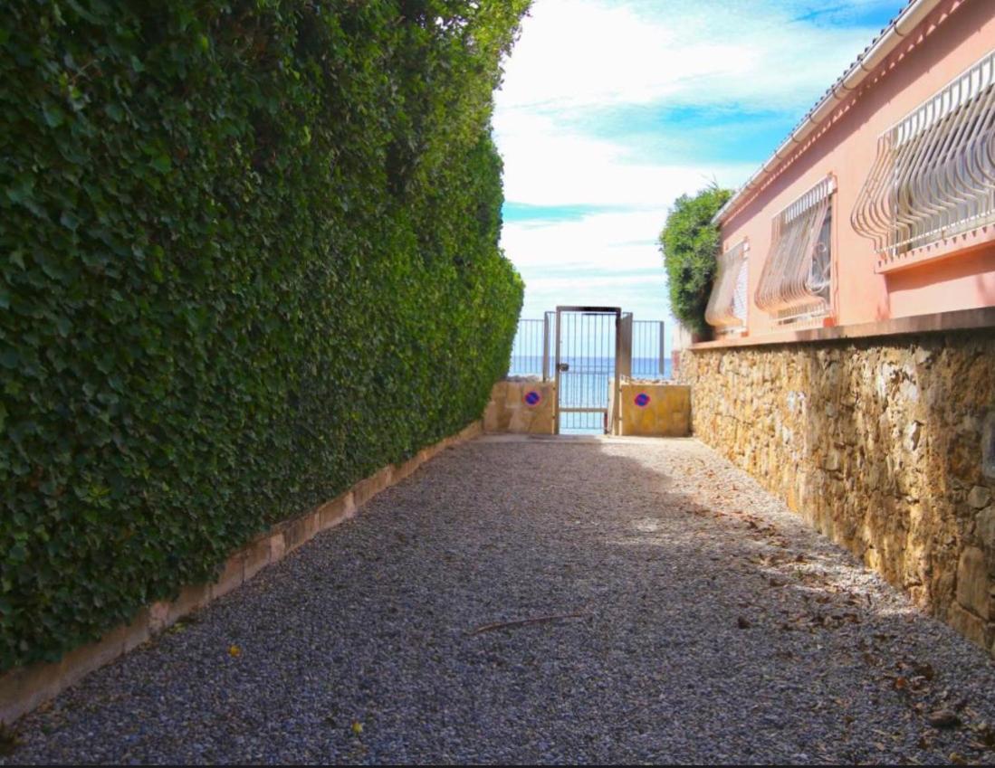 Appartement Pied Dans L'Eau La Seyne-sur-Mer Eksteriør billede